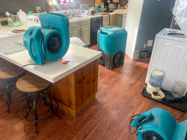 Carpet water damage restoration in Northumberland, PA