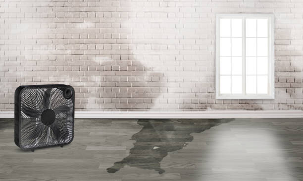 Best Ceiling water damage repair  in Northumberland, PA
