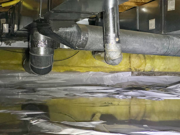 Best Professional water damage repair  in Northumberland, PA