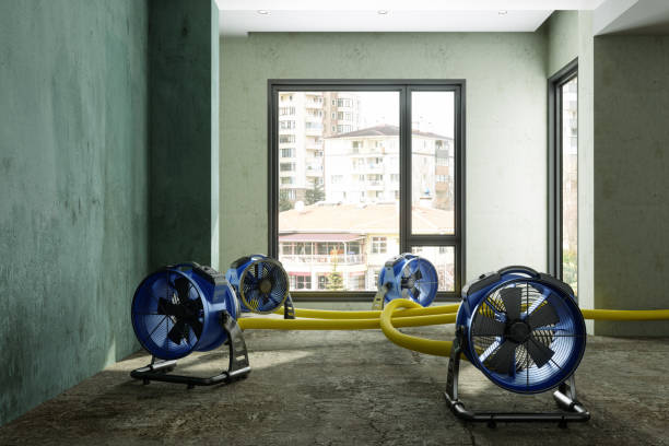 Best Basement water damage restoration  in Northumberland, PA
